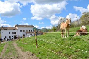 Agri_14