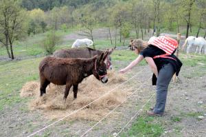 Agri_8