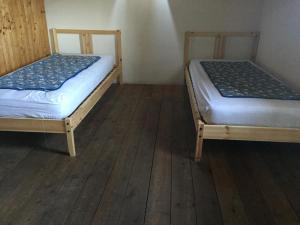 IMG 7252