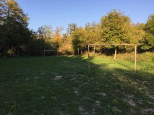 IMG 7278
