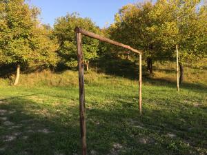 IMG 7279
