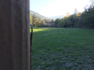 IMG 7283