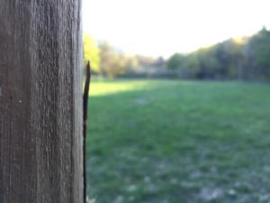 IMG 7284
